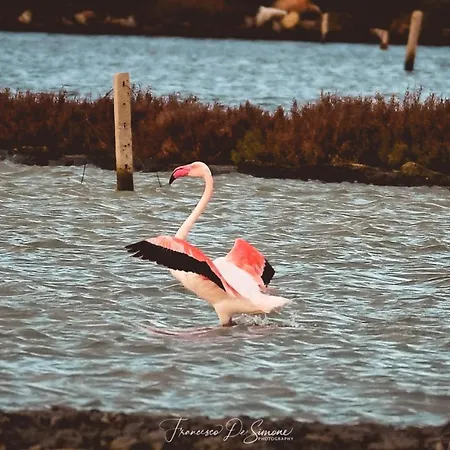 Hébergement de vacances La Vie En Rose *