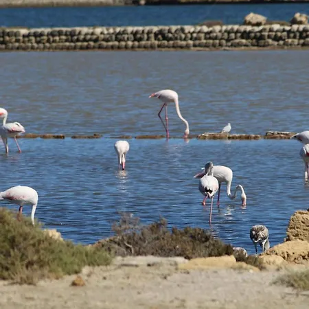 La Vie En Rose Hébergement de vacances