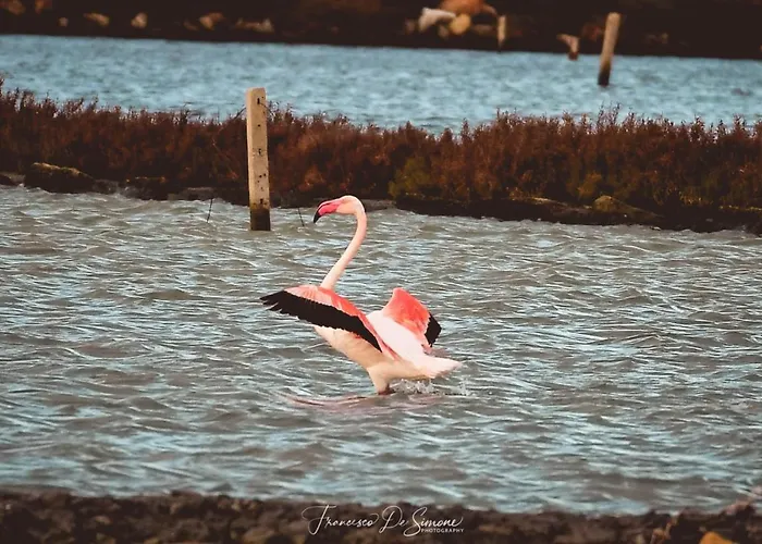 בית נופש La Vie En Rose *